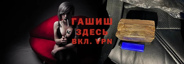 индика Бородино