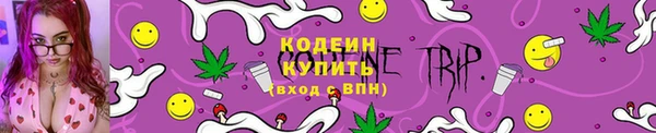МДПВ Богородск