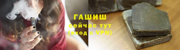 индика Бородино