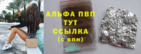 индика Бородино