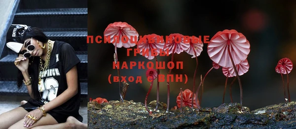 jwh Богородицк