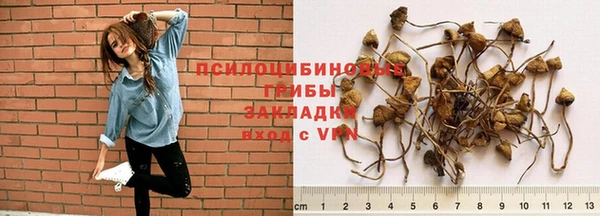 кристаллы Богданович